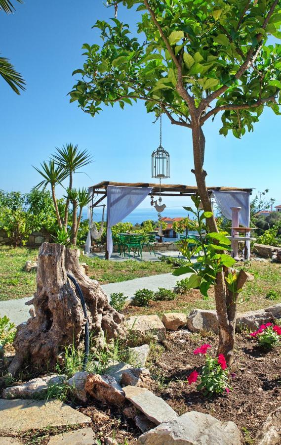 فيلا Orfeas House 2 باتيتيري المظهر الخارجي الصورة